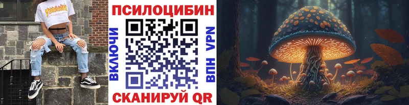 Галлюциногенные грибы Cubensis Карпинск